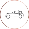 arrival icon